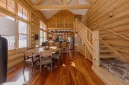 Wild Bear Haven - Image 3